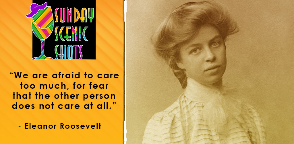 Sunday-scenic-shots-eleanor-roosevelt